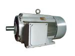 Three-Phase Marine Motor 