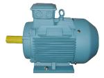 High Efficiency Three-phase Induction Motor 