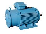 Improved Three-phase Induction Motor for Lifting, YZ-H Series